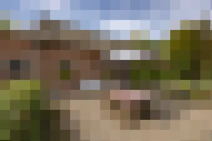 St. Sebastiaanshoek 3 Oost West en Middelbeers thumbnail 46