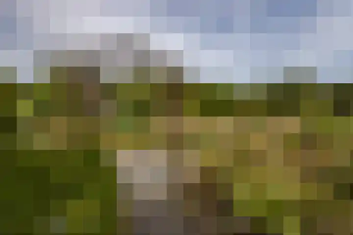 St. Sebastiaanshoek 3 Oost West en Middelbeers thumbnail 48
