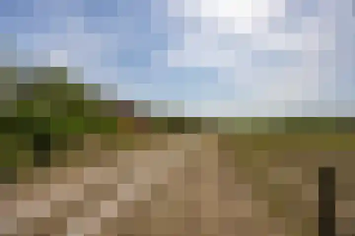 St. Sebastiaanshoek 3 Oost West en Middelbeers thumbnail 6