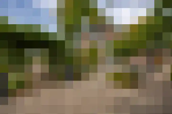 St. Sebastiaanshoek 3 Oost West en Middelbeers thumbnail 7