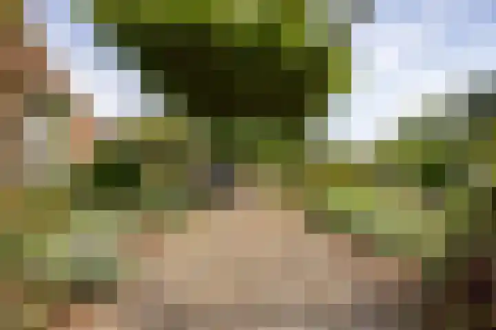 St. Sebastiaanshoek 3 Oost West en Middelbeers thumbnail 8