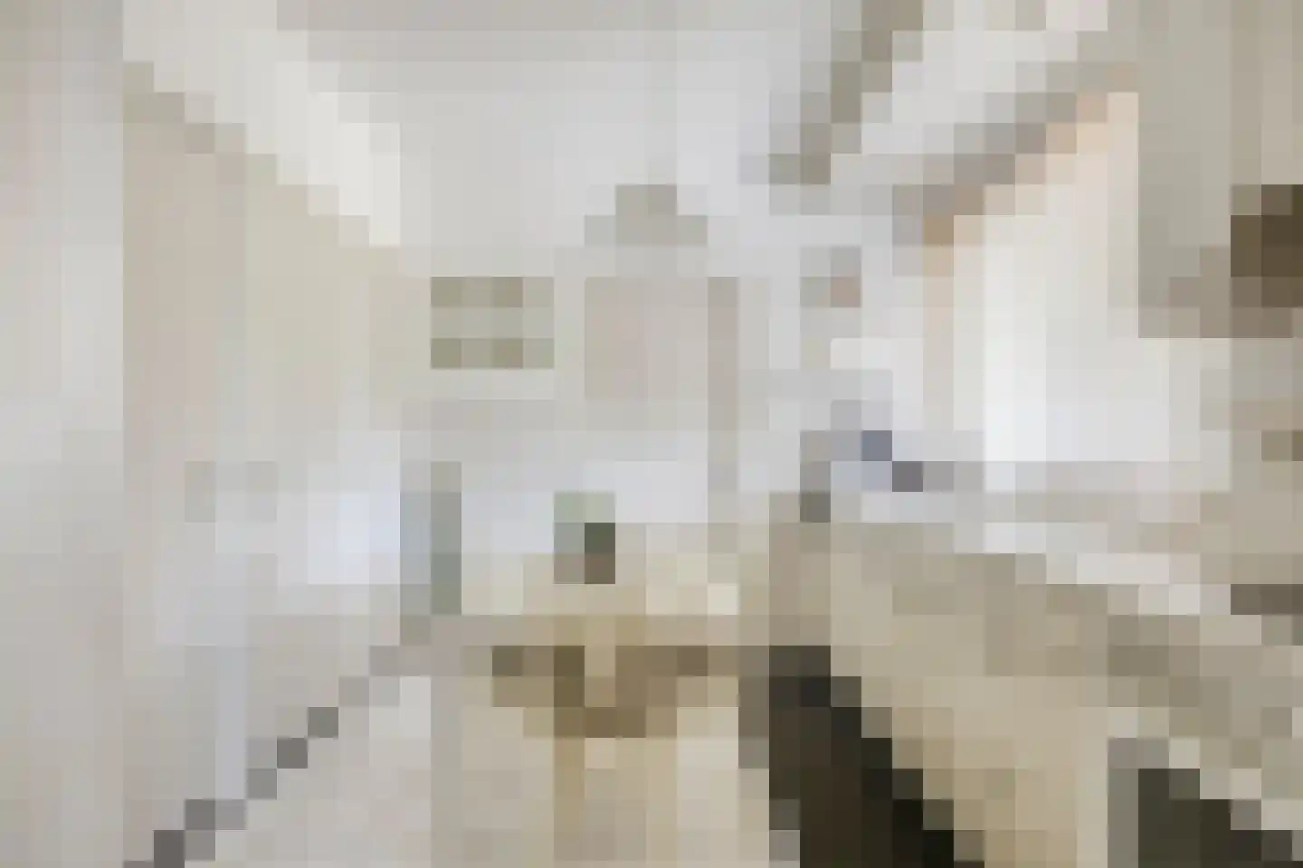 St. Sebastianusstraat 11 Herpen thumbnail 17
