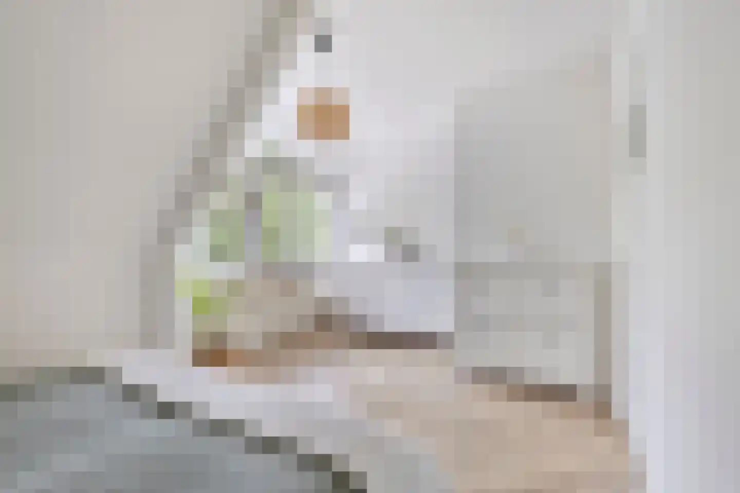 St Servaasweg 22 Eindhoven thumbnail 15