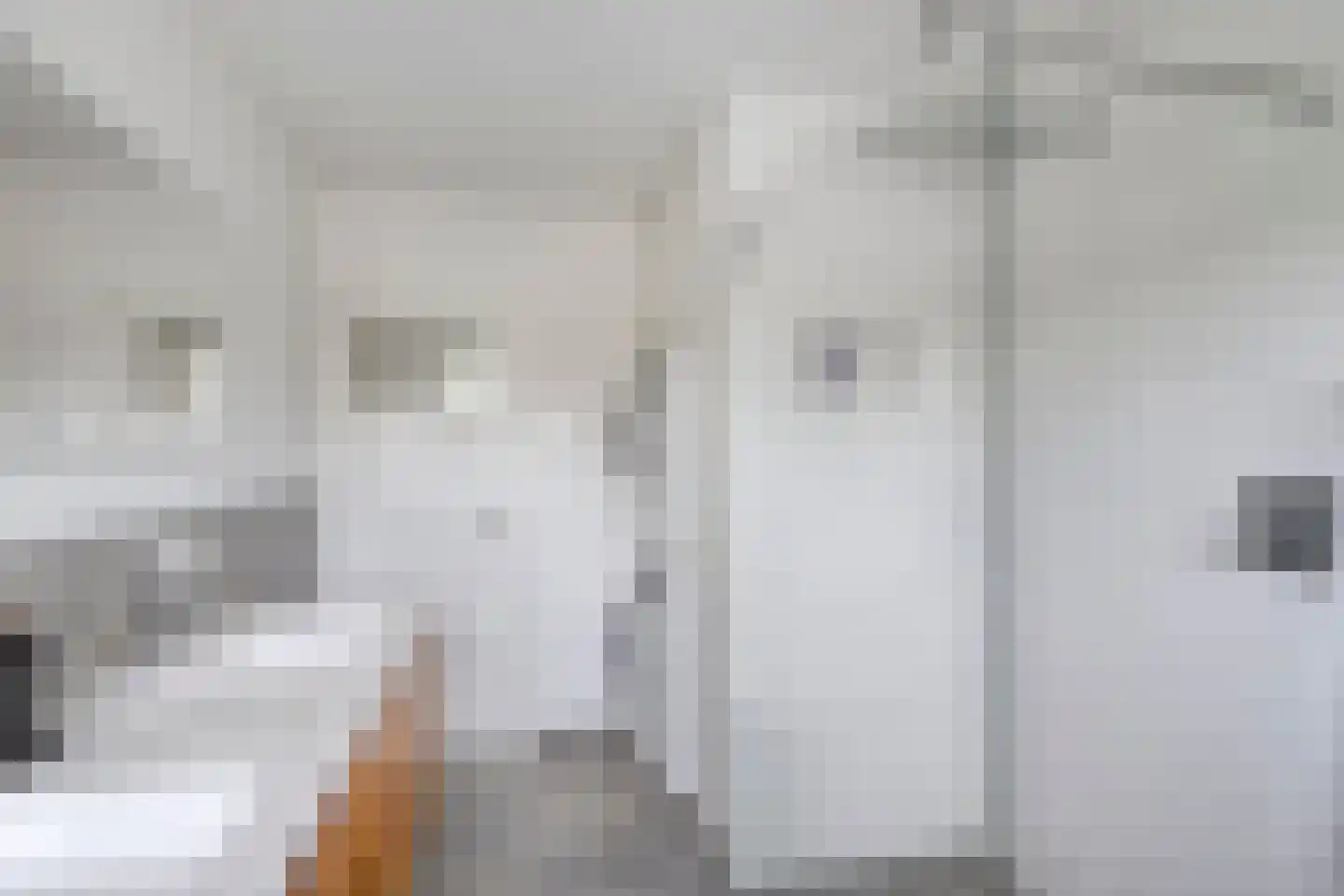 St Servaasweg 22 Eindhoven thumbnail 19