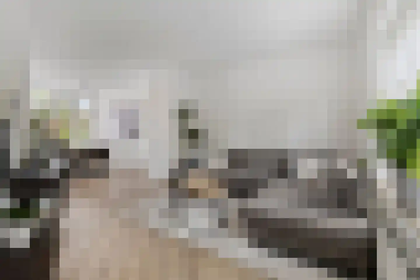 St Servaasweg 22 Eindhoven thumbnail 8
