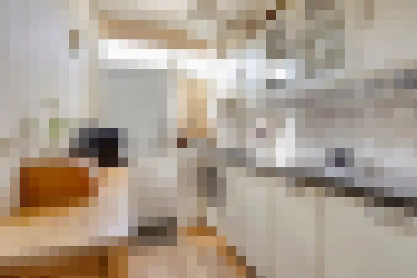 St Servaasweg 24 Eindhoven thumbnail 11