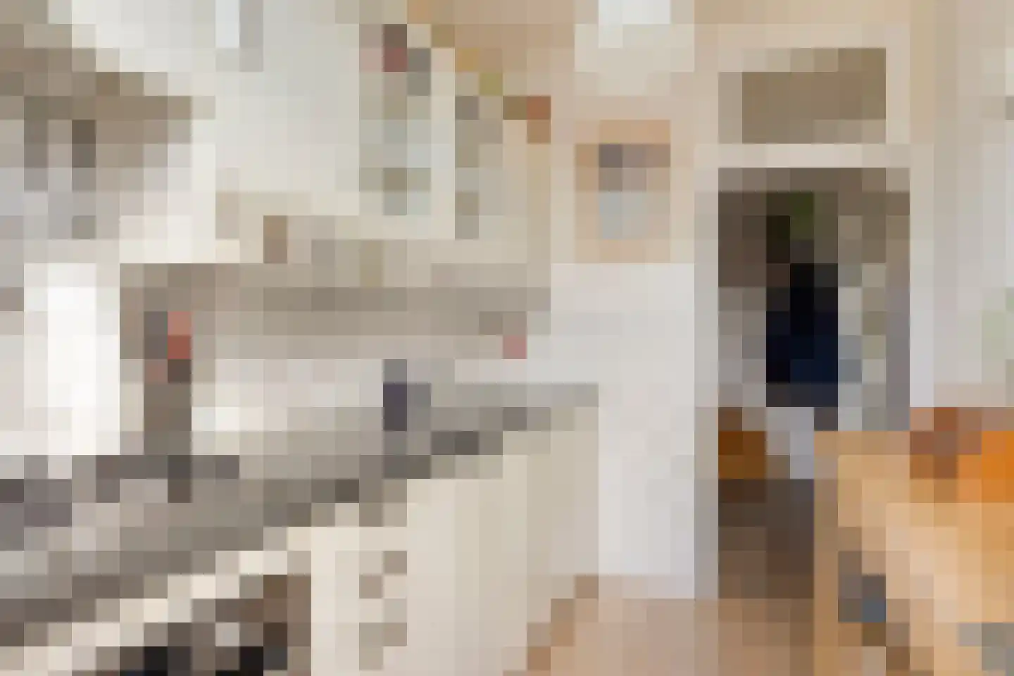 St Servaasweg 24 Eindhoven thumbnail 12