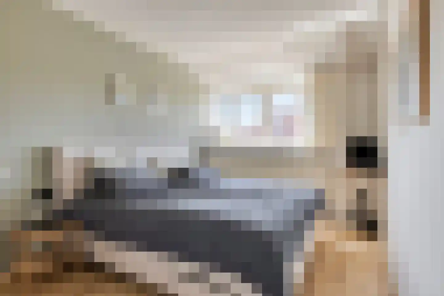St Servaasweg 24 Eindhoven thumbnail 16