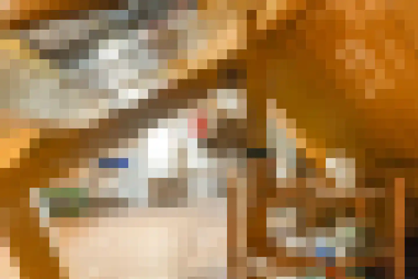 St Servaasweg 24 Eindhoven thumbnail 23
