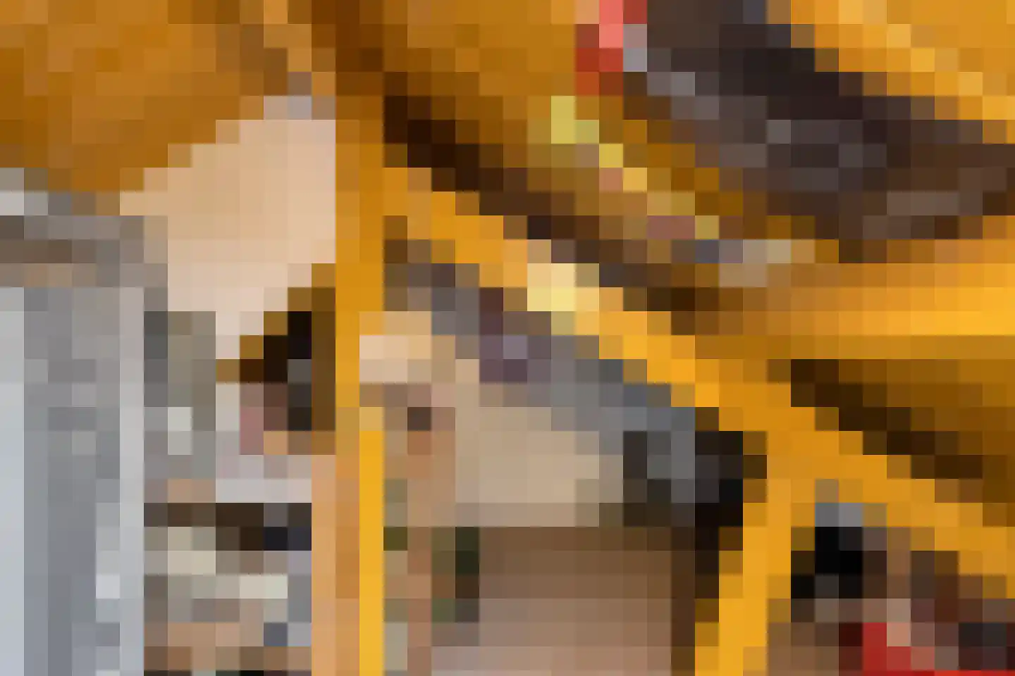 St Servaasweg 24 Eindhoven thumbnail 24