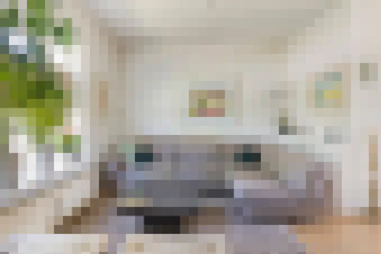 St Servaasweg 24 Eindhoven thumbnail 7