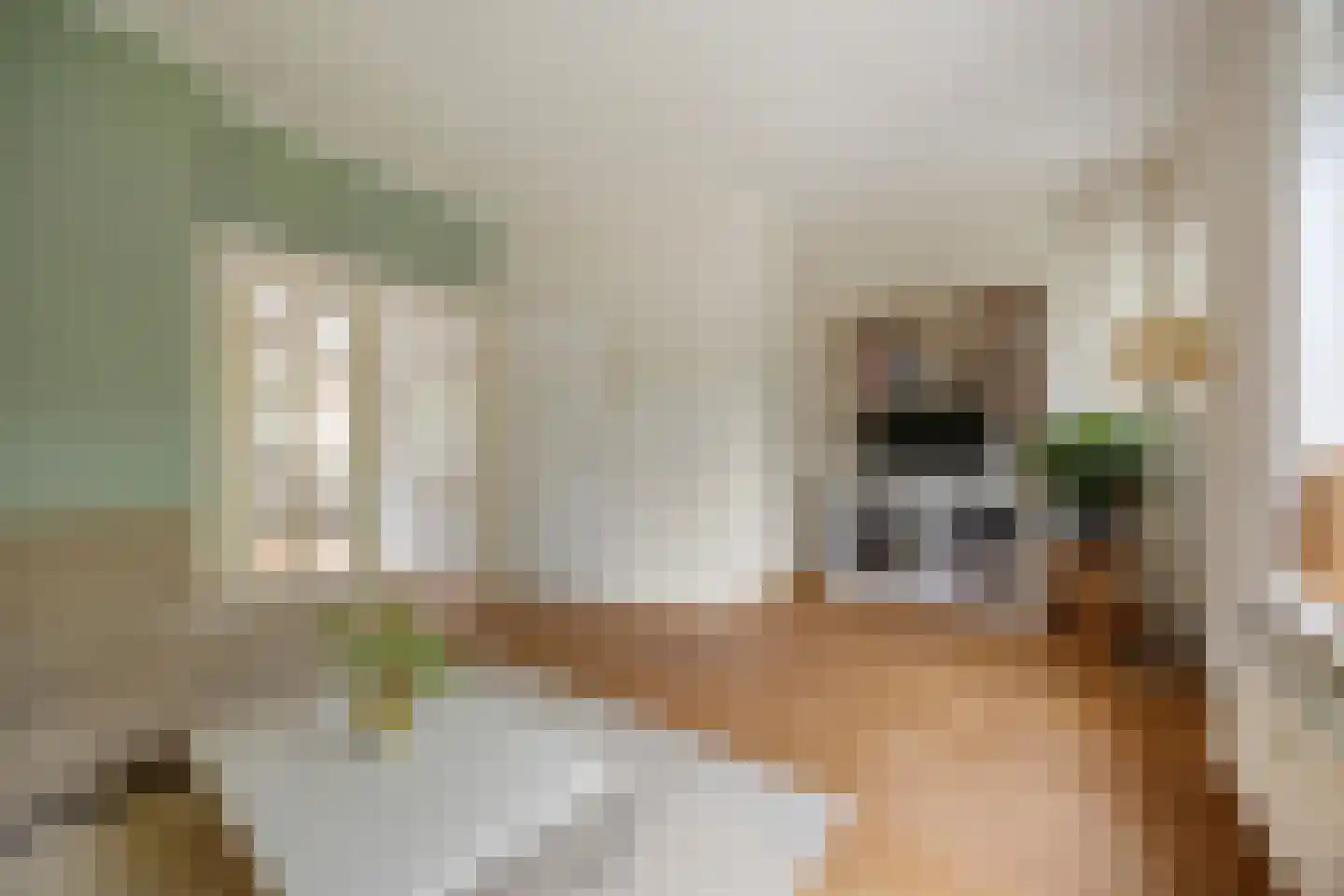St Servaasweg 30 Eindhoven thumbnail 10