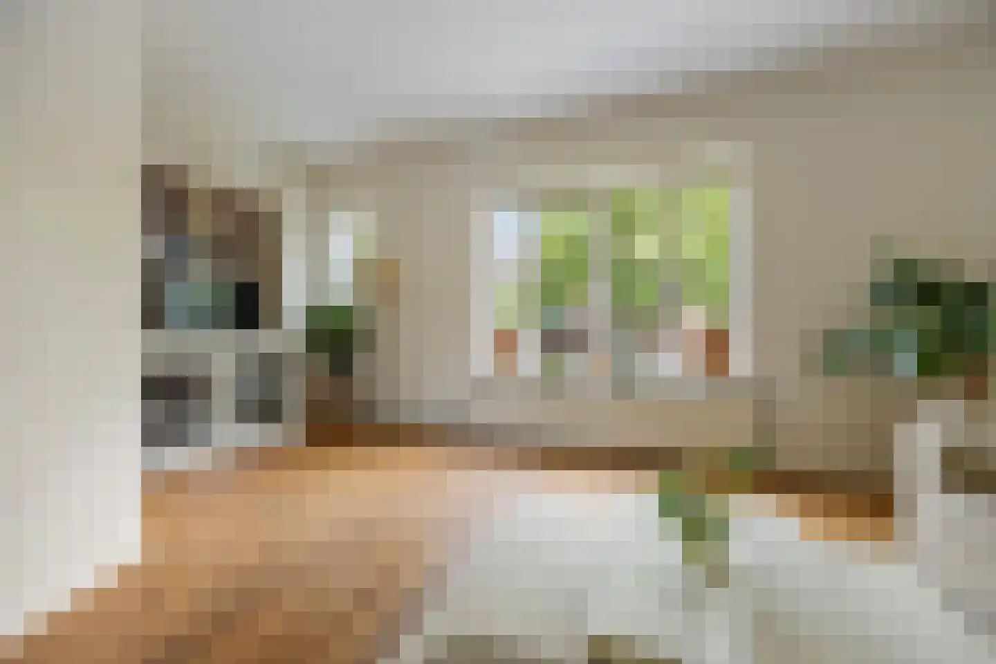 St Servaasweg 30 Eindhoven thumbnail 11