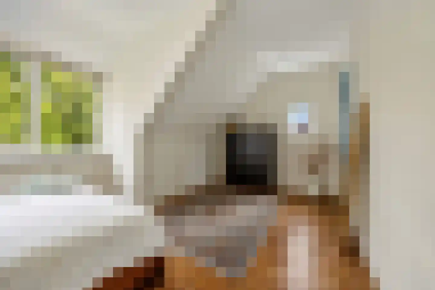 St Servaasweg 30 Eindhoven thumbnail 22
