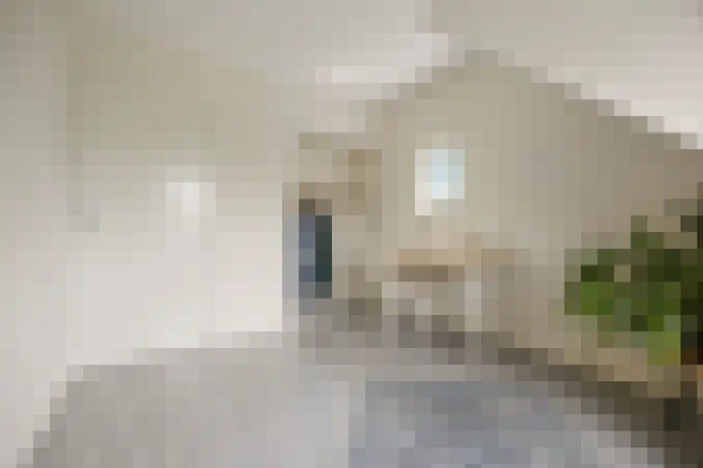 St Servaasweg 30 Eindhoven thumbnail 26