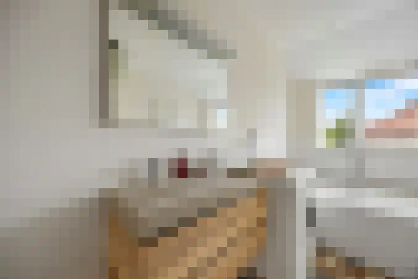 St Servaasweg 30 Eindhoven thumbnail 27