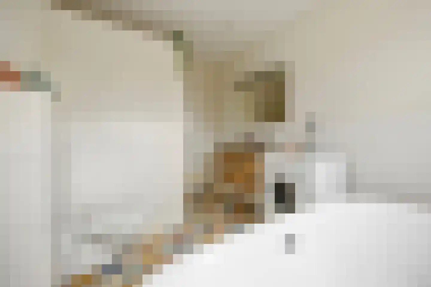 St Servaasweg 30 Eindhoven thumbnail 29