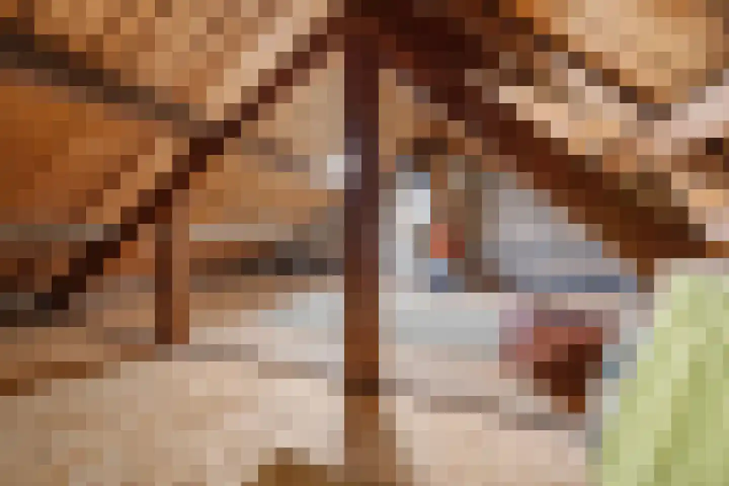 St Servaasweg 30 Eindhoven thumbnail 31