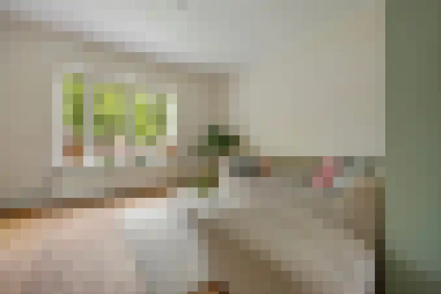 St Servaasweg 30 Eindhoven thumbnail 9