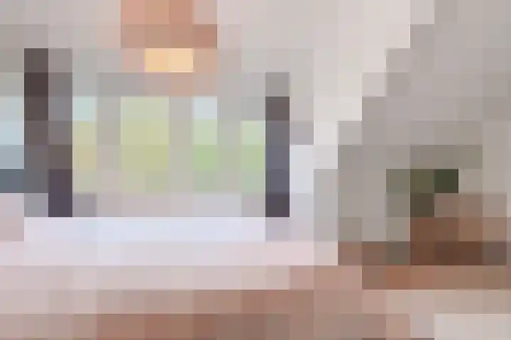 St Servaasweg 4 Eindhoven thumbnail 13