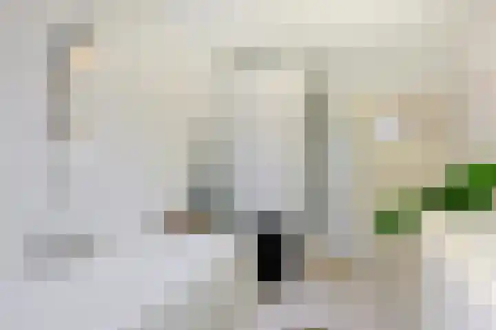 St Servaasweg 4 Eindhoven thumbnail 18