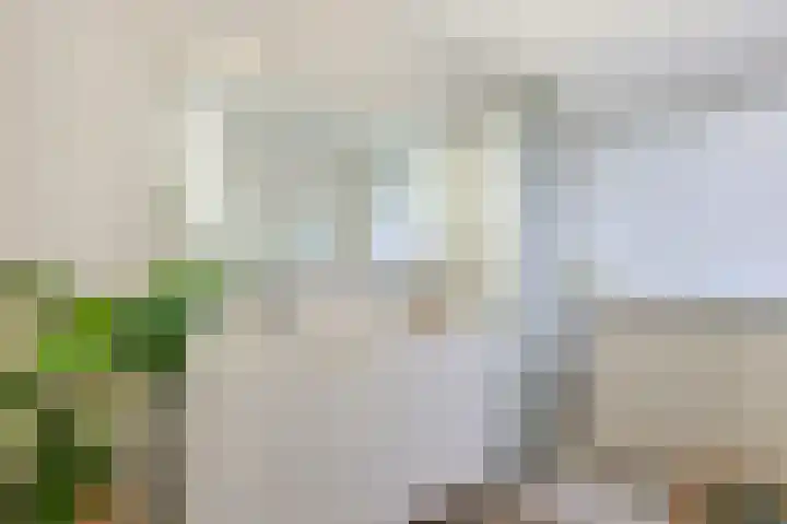 St Servaasweg 4 Eindhoven thumbnail 20