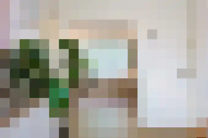 St Servaasweg 4 Eindhoven thumbnail 28