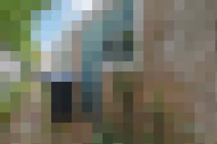 St Servaasweg 4 Eindhoven thumbnail 41