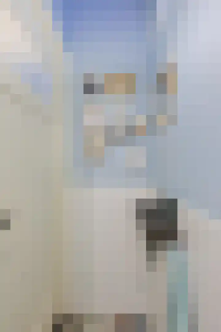 St Servaasweg 4 Eindhoven thumbnail 9