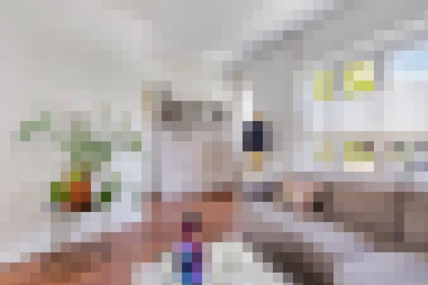 St Servaasweg 42 Eindhoven thumbnail 14