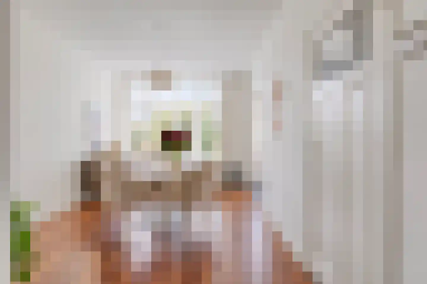 St Servaasweg 42 Eindhoven thumbnail 16