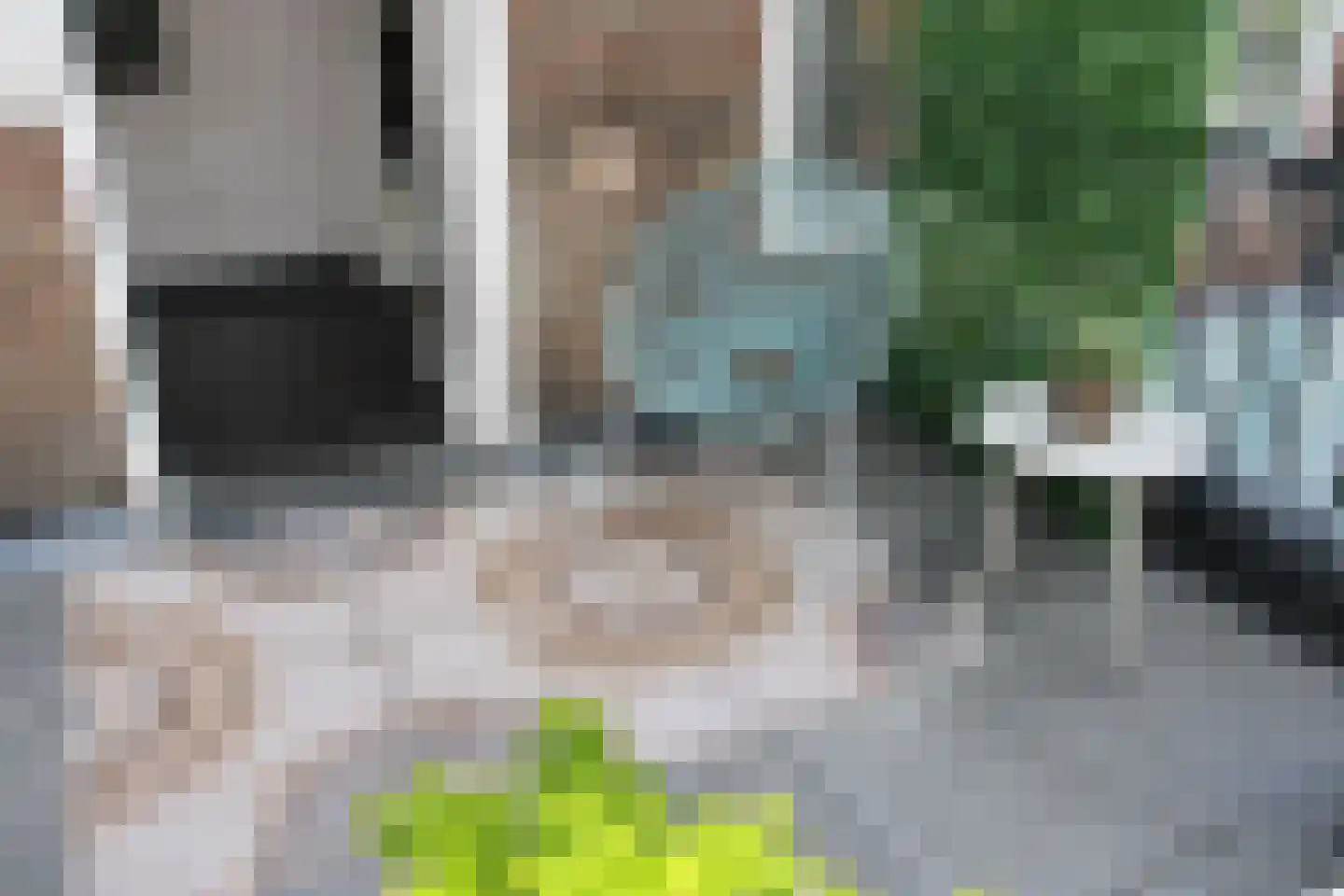 St Servaasweg 42 Eindhoven thumbnail 30