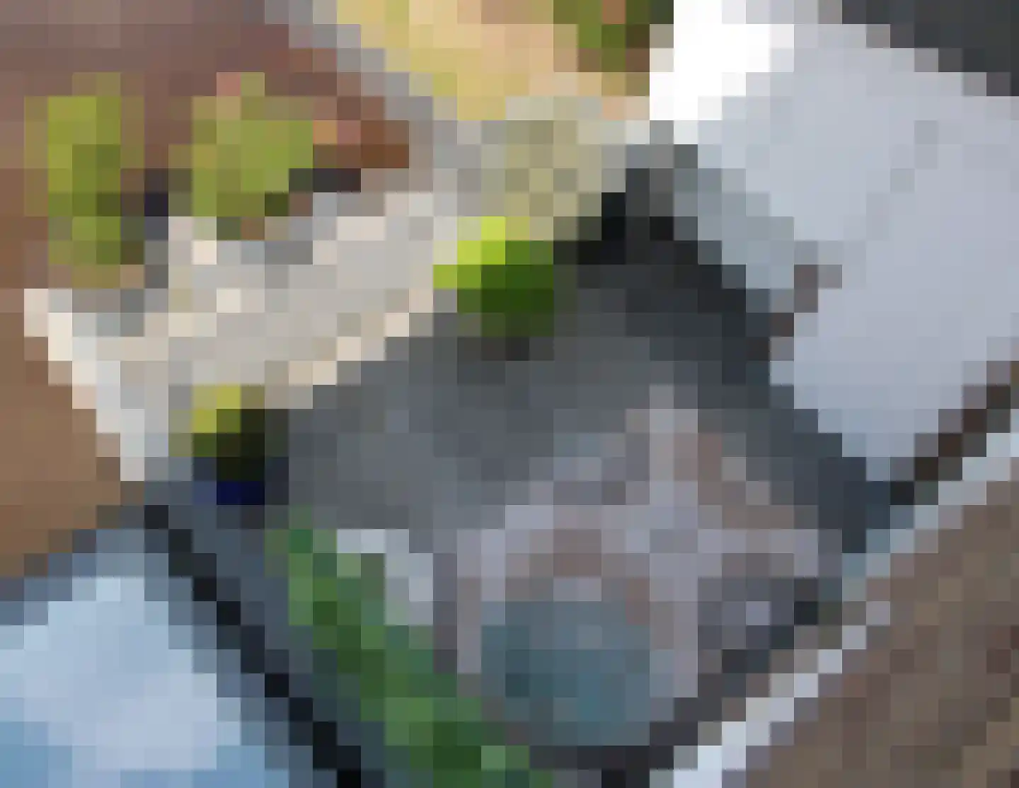 St Servaasweg 42 Eindhoven thumbnail 31