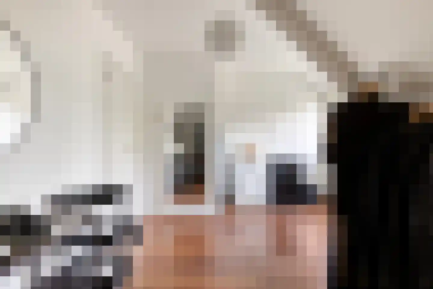 St Servaasweg 42 Eindhoven thumbnail 43