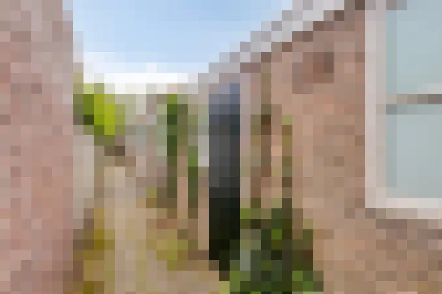St Servaasweg 42 Eindhoven thumbnail 44