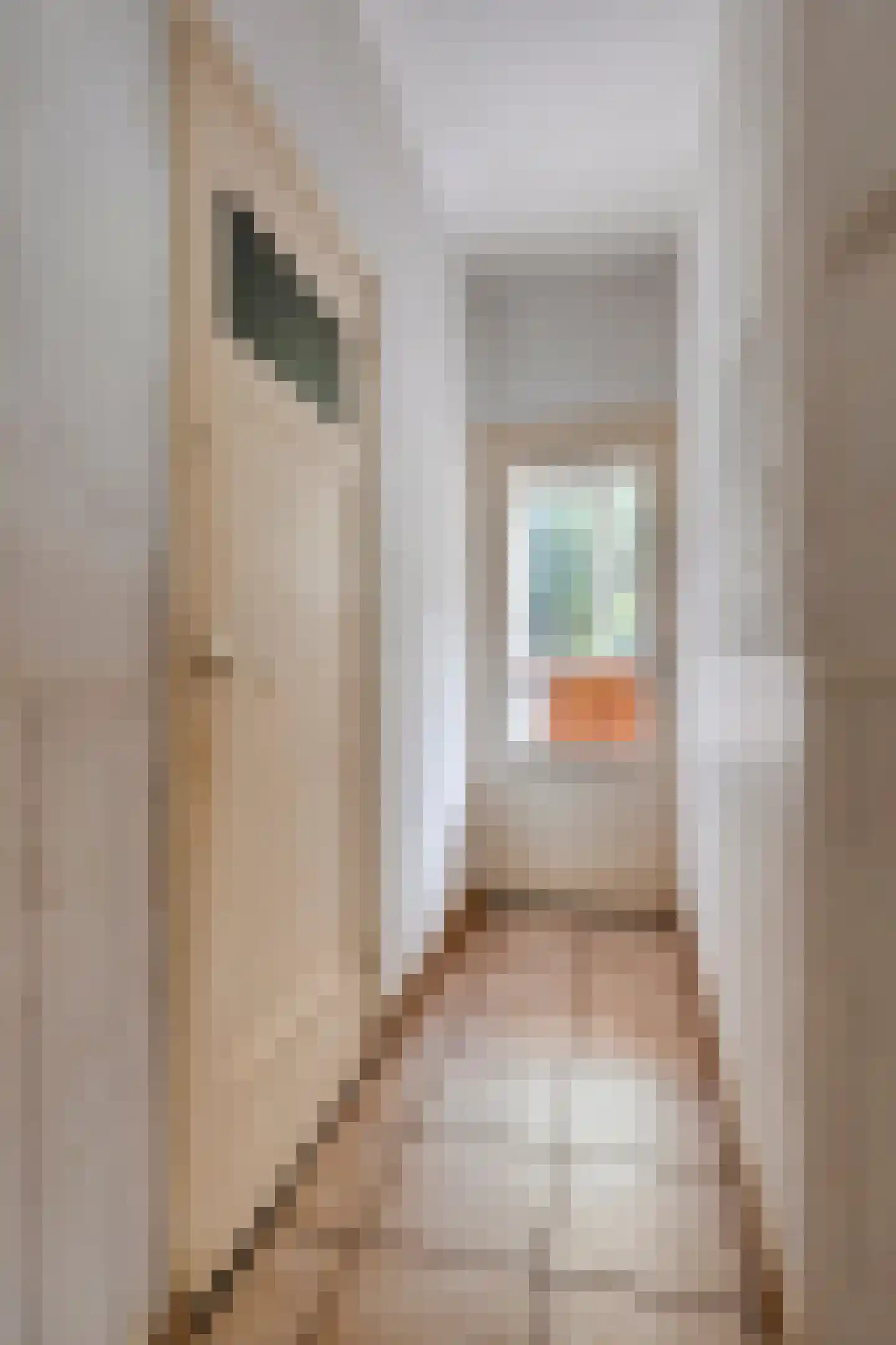 St Servaasweg 6 Eindhoven thumbnail 11