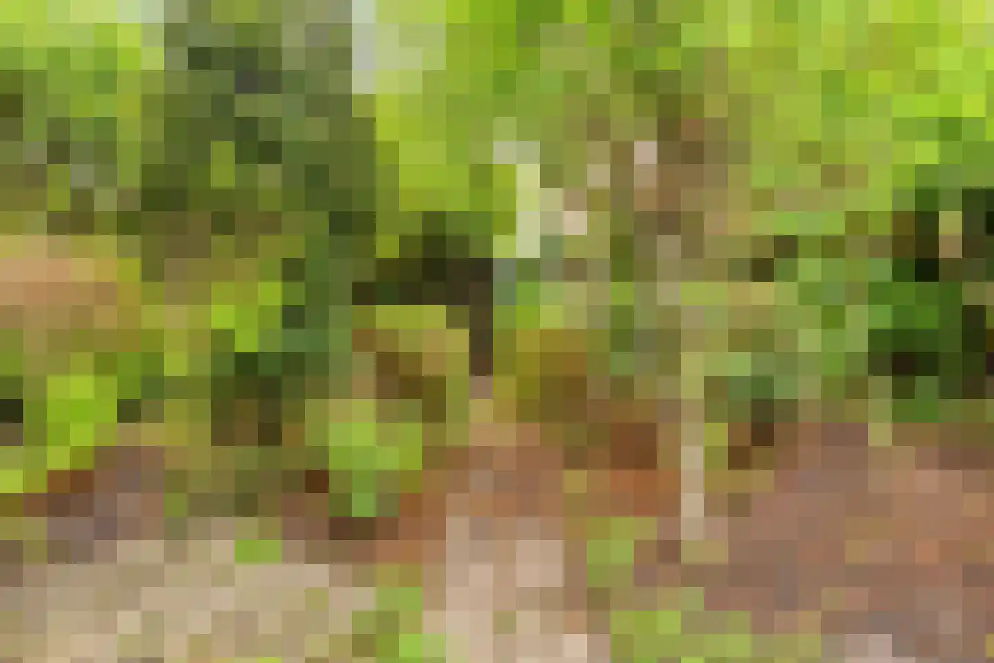 St Servaasweg 6 Eindhoven thumbnail 19