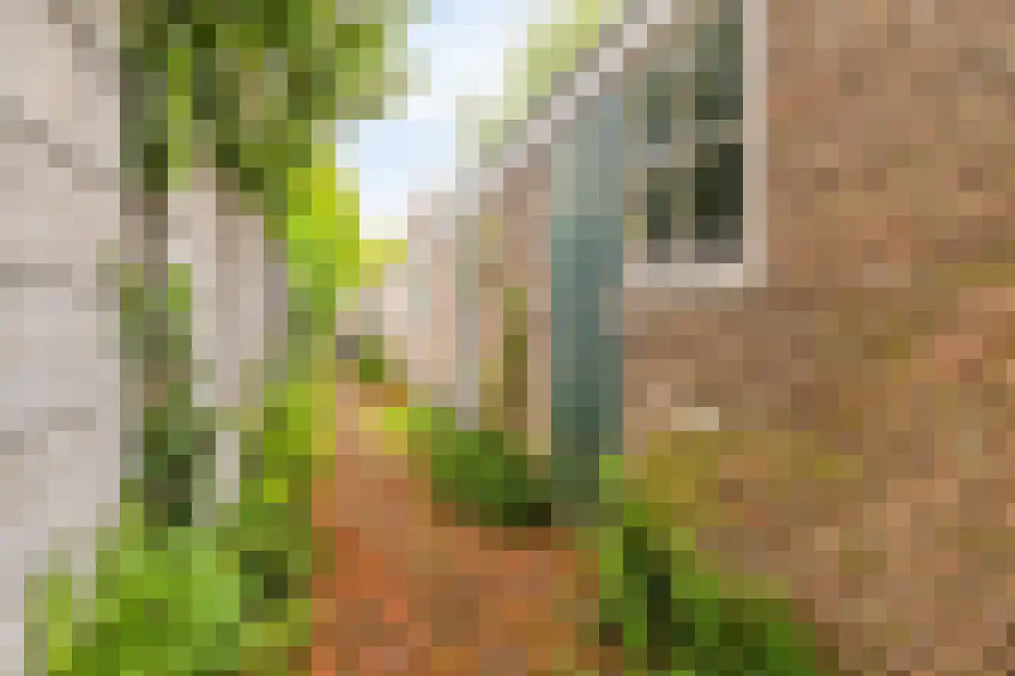 St Servaasweg 6 Eindhoven thumbnail 22
