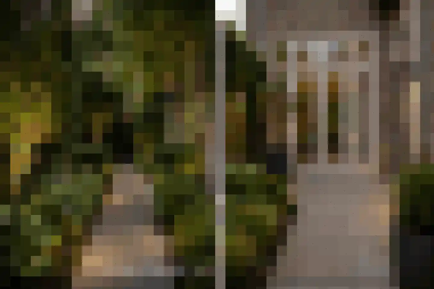 St Servaasweg 6 Eindhoven thumbnail 24