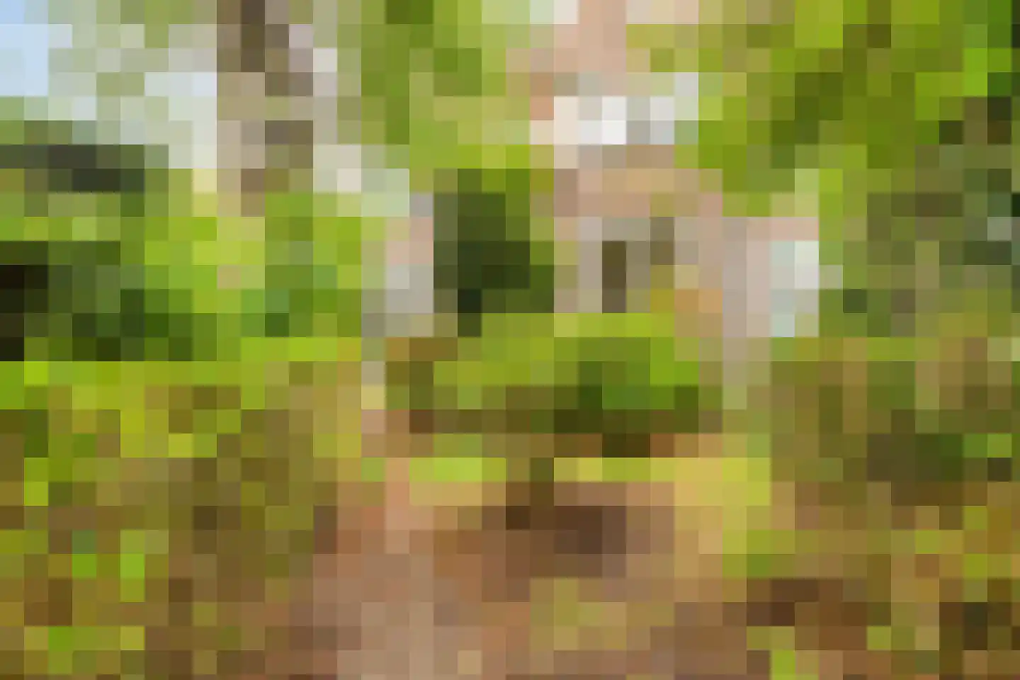 St Servaasweg 6 Eindhoven thumbnail 5