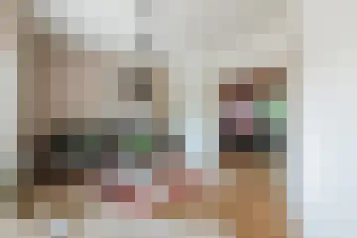 St Servaasweg 70 Eindhoven thumbnail 10