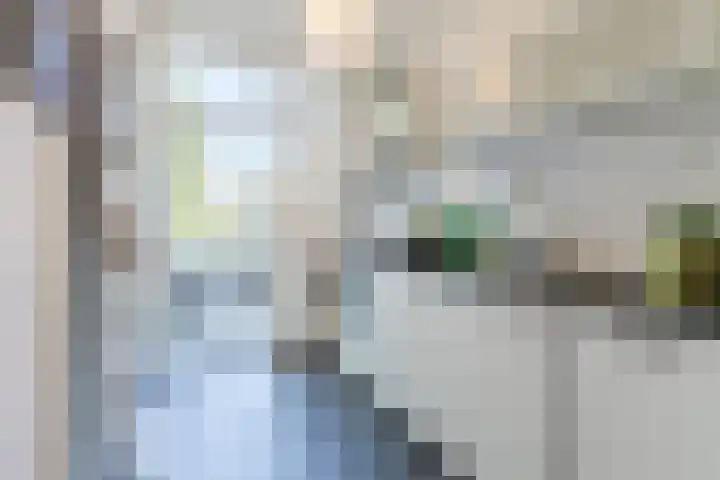 St Servaasweg 70 Eindhoven thumbnail 13