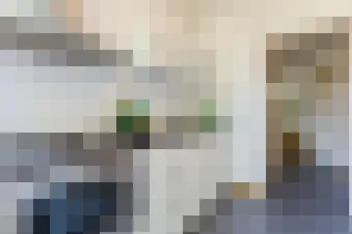 St Servaasweg 70 Eindhoven thumbnail 14