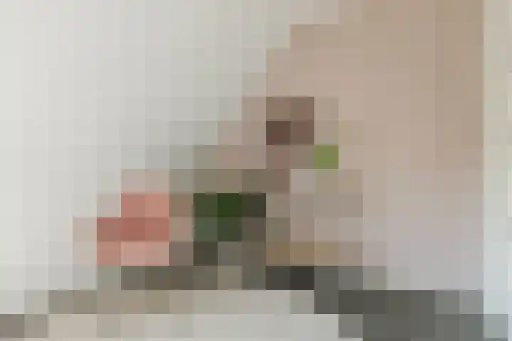 St Servaasweg 70 Eindhoven thumbnail 20