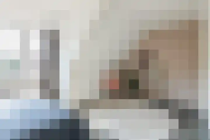 St Servaasweg 70 Eindhoven thumbnail 21