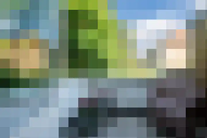 St Servaasweg 70 Eindhoven thumbnail 33