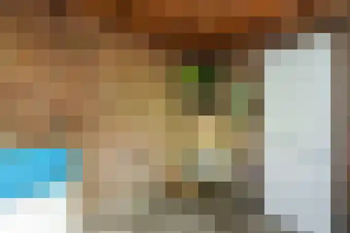 St Servaasweg 70 Eindhoven thumbnail 34