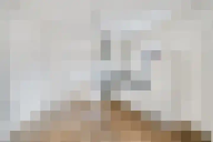 St Servaasweg 78 Eindhoven thumbnail 10