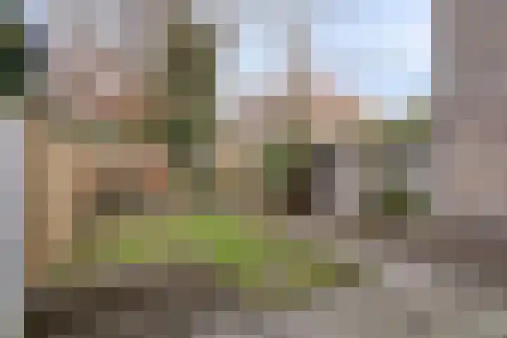 St Servaasweg 78 Eindhoven thumbnail 19