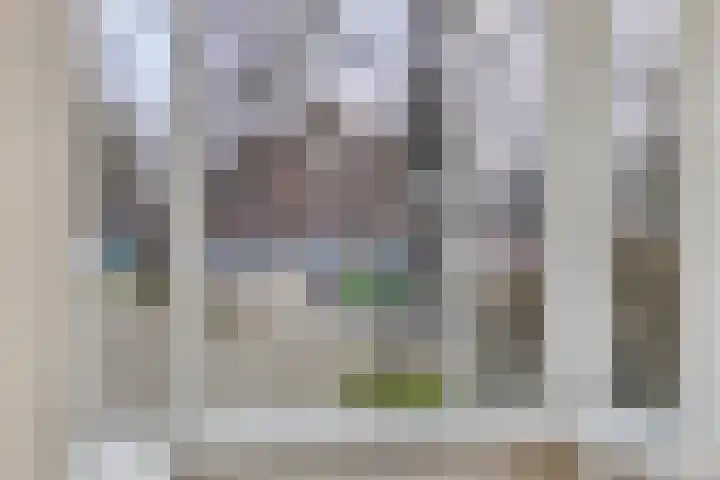 St Servaasweg 78 Eindhoven thumbnail 8